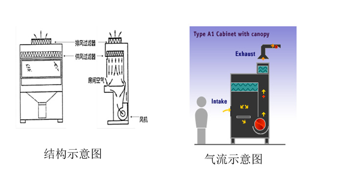 生物安全柜工作原理3